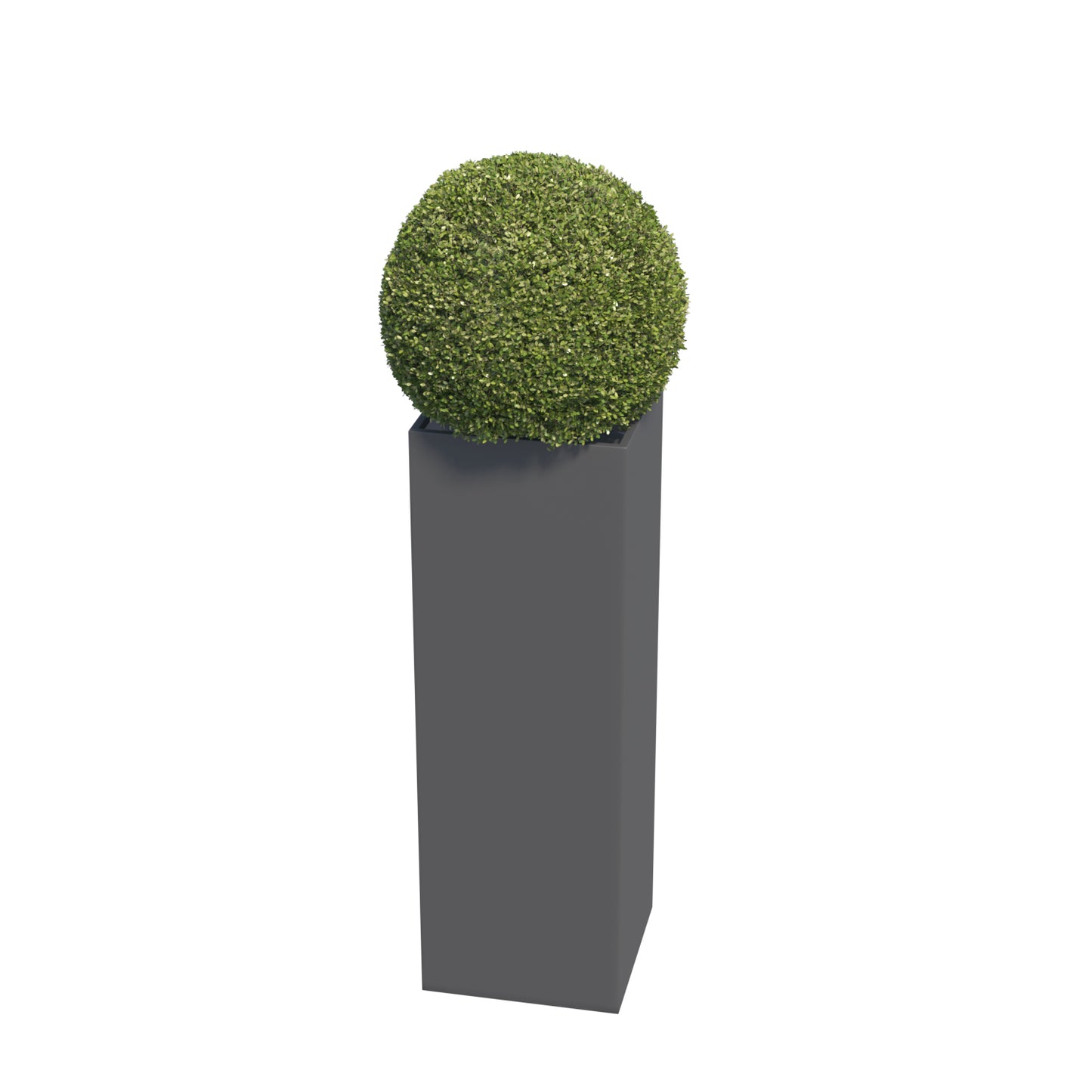 SKINNY PILLAR - Contemporary, designer planter in anthracite